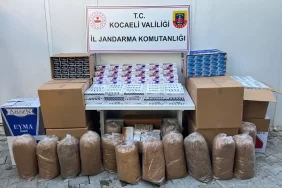 whatsapp-image-2024-10-24-at-1721211939[1]