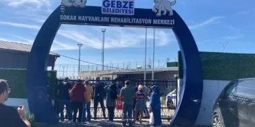 gebze-de-copten-olu-kedi-ve-kopekler-cikti-6505