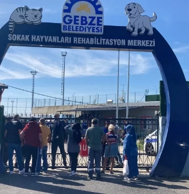 gebze-de-copten-olu-kedi-ve-kopekler-cikti-6505