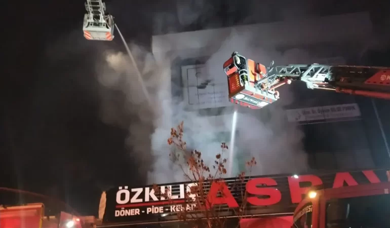 öz3