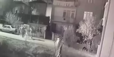 6799e896e931691a0ec91d8f