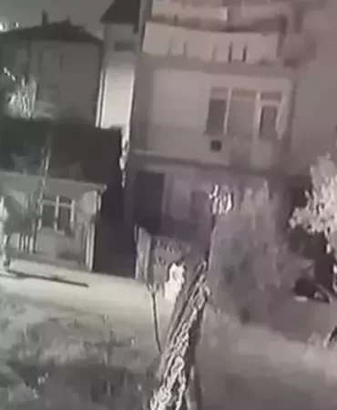 6799e896e931691a0ec91d8f