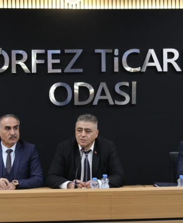 WhatsApp Image 2025-01-28 at 16.46.35 (4)