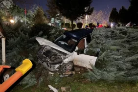 aa-20250212-37026225-37026224-kocaelide-cipin-sitenin-otoparkindan-agaclik-alana-devrilmesi-kamerada-1739343918