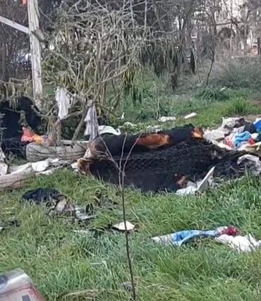 ekran-goruntusu-2025-02-24-203337