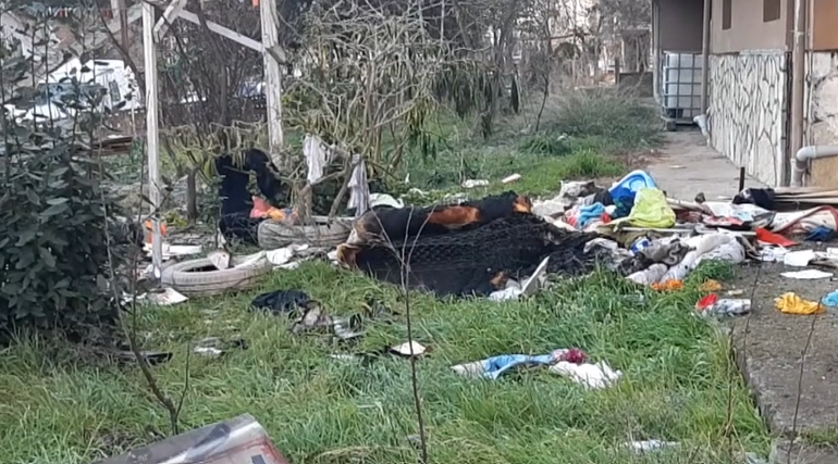 ekran-goruntusu-2025-02-24-203337