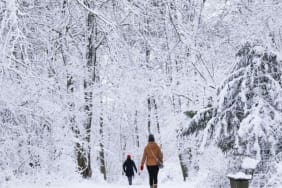 https___s3.eu-central-1.amazonaws.com_media.my.ua_feed_33_c3e2730cc70949ea0f12dea79859ca2d