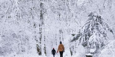 https___s3.eu-central-1.amazonaws.com_media.my.ua_feed_33_c3e2730cc70949ea0f12dea79859ca2d