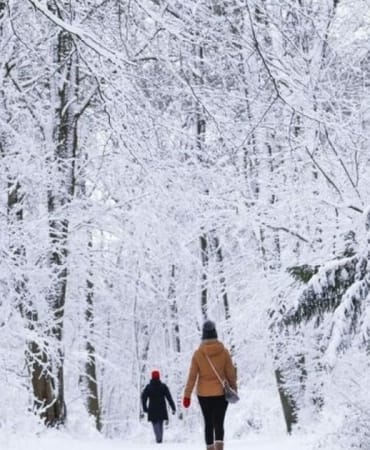 https___s3.eu-central-1.amazonaws.com_media.my.ua_feed_33_c3e2730cc70949ea0f12dea79859ca2d