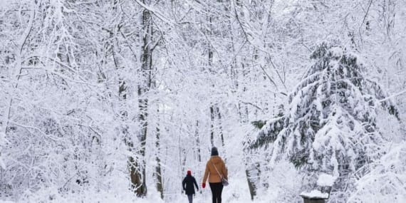 https___s3.eu-central-1.amazonaws.com_media.my.ua_feed_33_c3e2730cc70949ea0f12dea79859ca2d