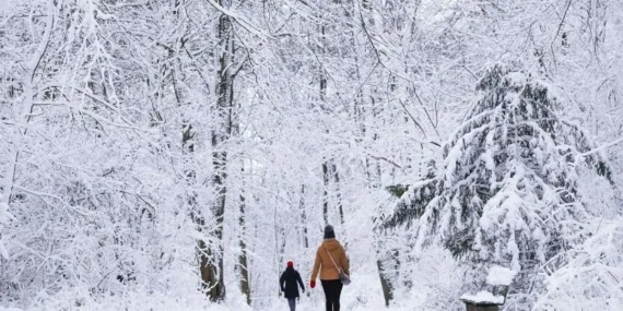 https___s3.eu-central-1.amazonaws.com_media.my.ua_feed_33_c3e2730cc70949ea0f12dea79859ca2d