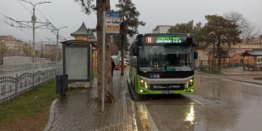 whatsapp-image-2025-02-06-at-1739336087