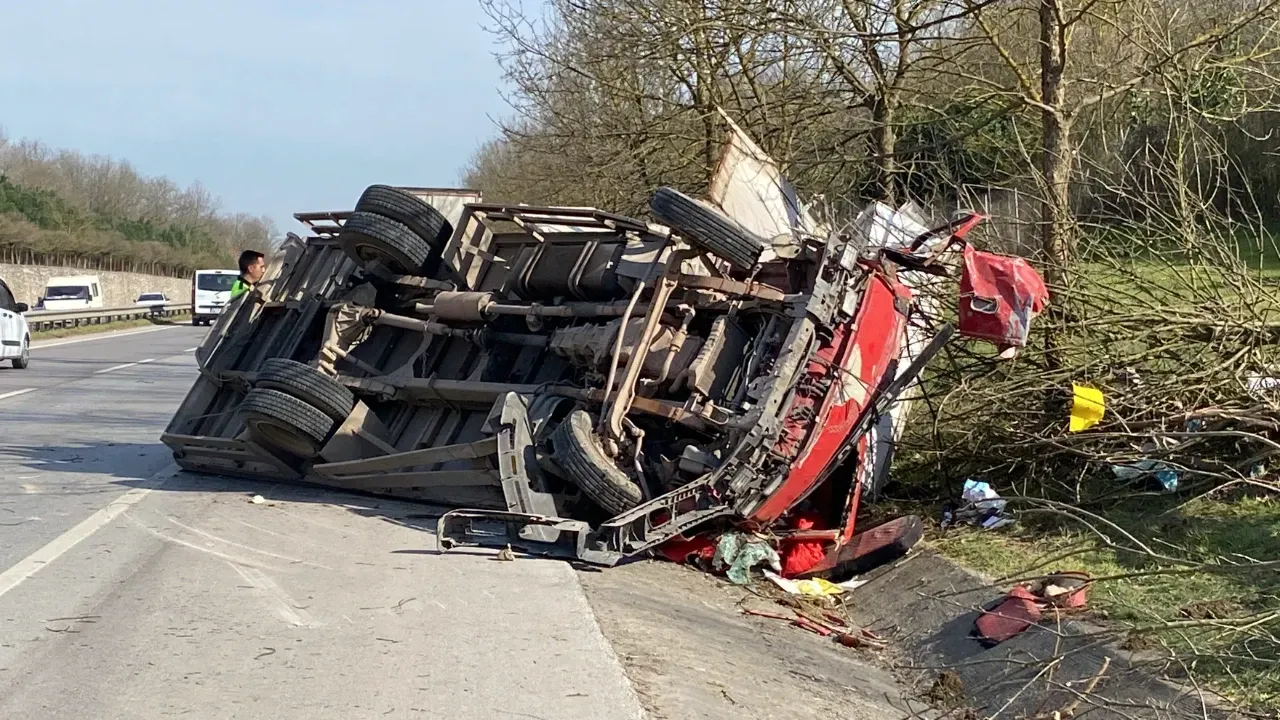 Kocaeli'de Kontrolden Çıkan Kamyonet, Ağaçları Devirerek Yoldan Çıktı