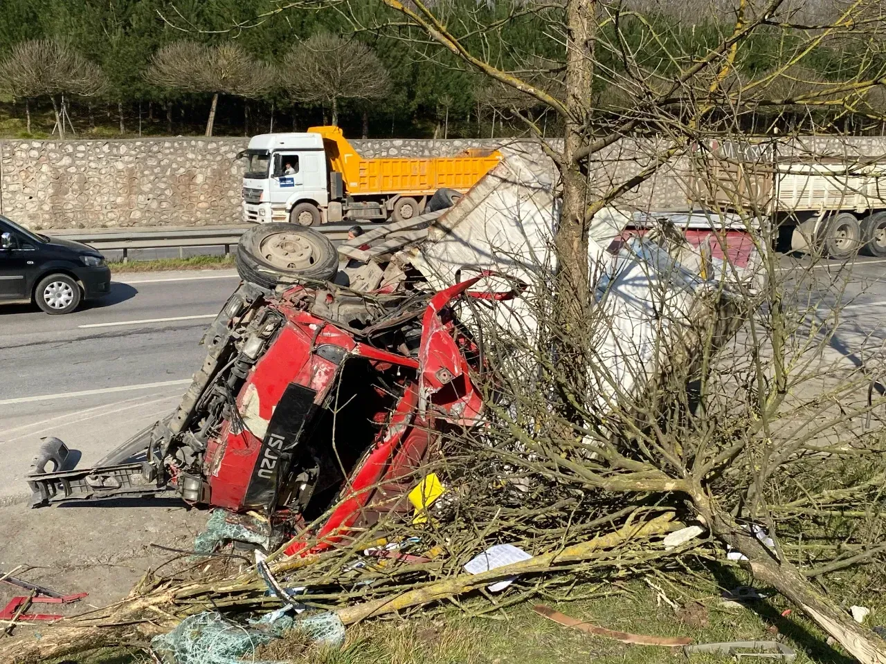 Kocaeli'de Kontrolden Çıkan Kamyonet, Ağaçları Devirerek Yoldan Çıktı