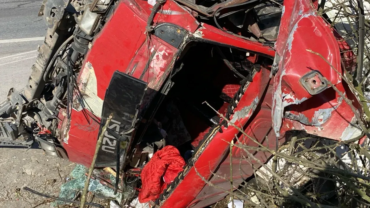 Kocaeli'de Kontrolden Çıkan Kamyonet, Ağaçları Devirerek Yoldan Çıktı