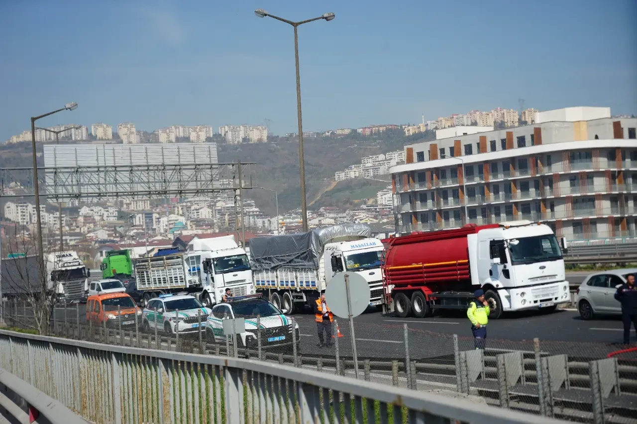 TEM'de lastiği patlayan tır alev alev yandı