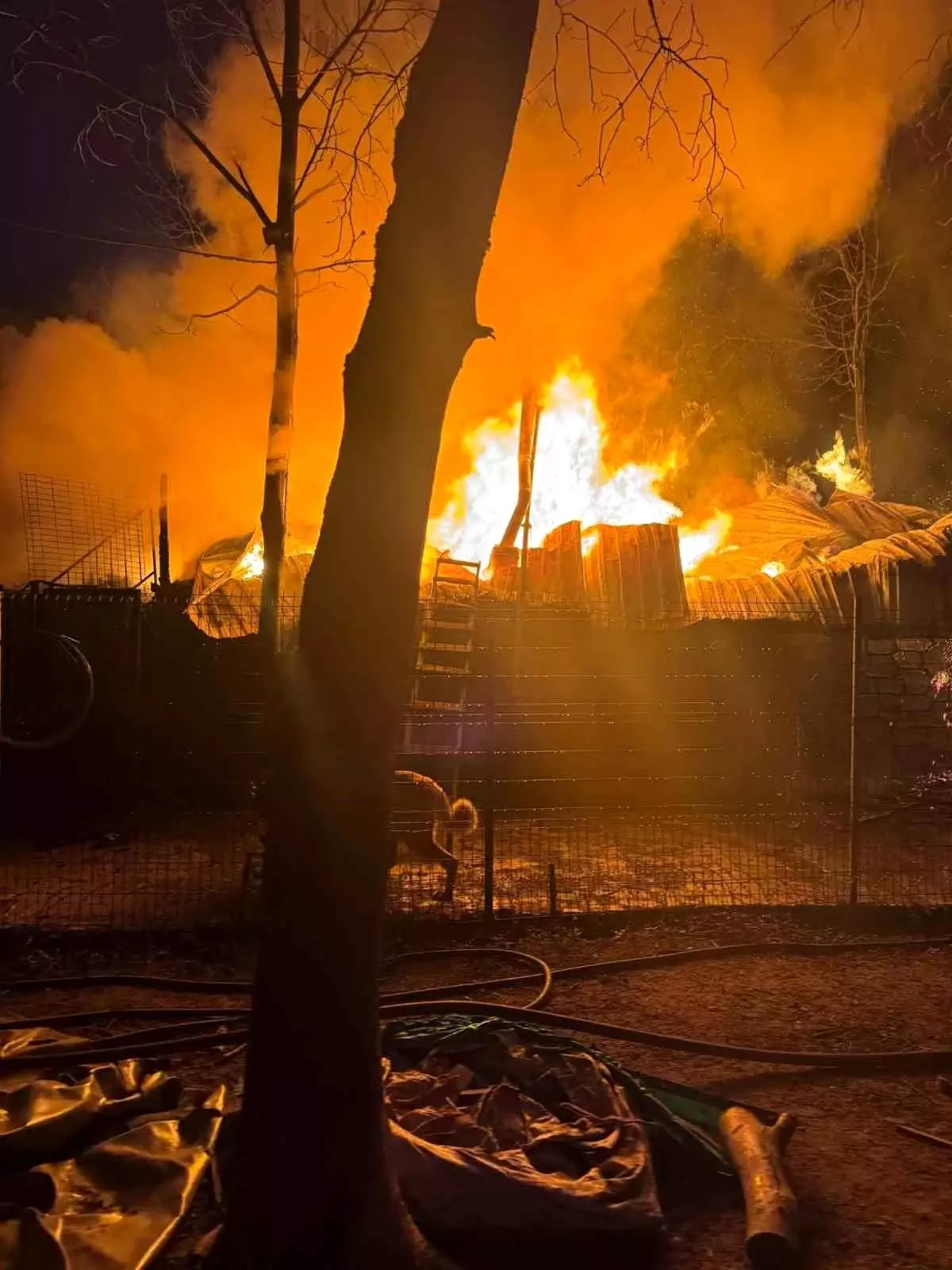 Kocaeli'de alev alev yanan bungalov kullanılamaz hale geldi