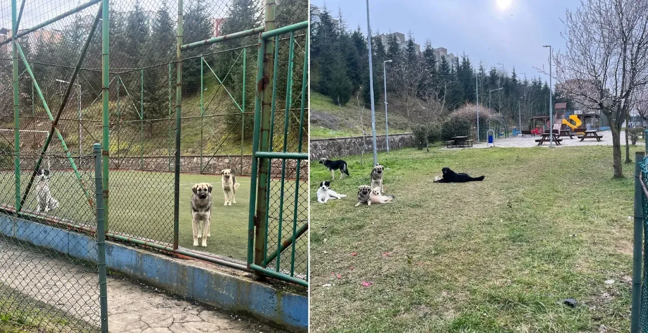 İzmit Belediyesi, Yuvam Parklarına hiç mi bakmıyor?