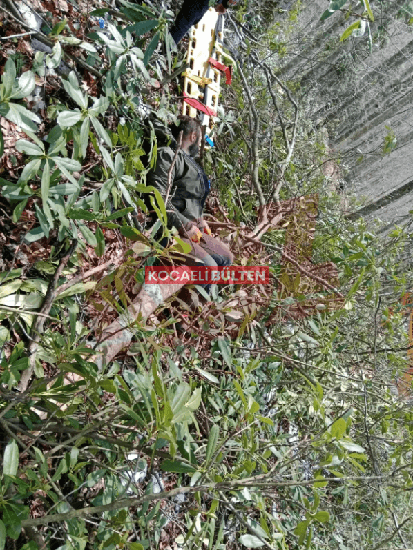 Kartepe'de Ormanda Feci Ölüm! Genç İşçinin Kestiği Ağaç Sonu Oldu!