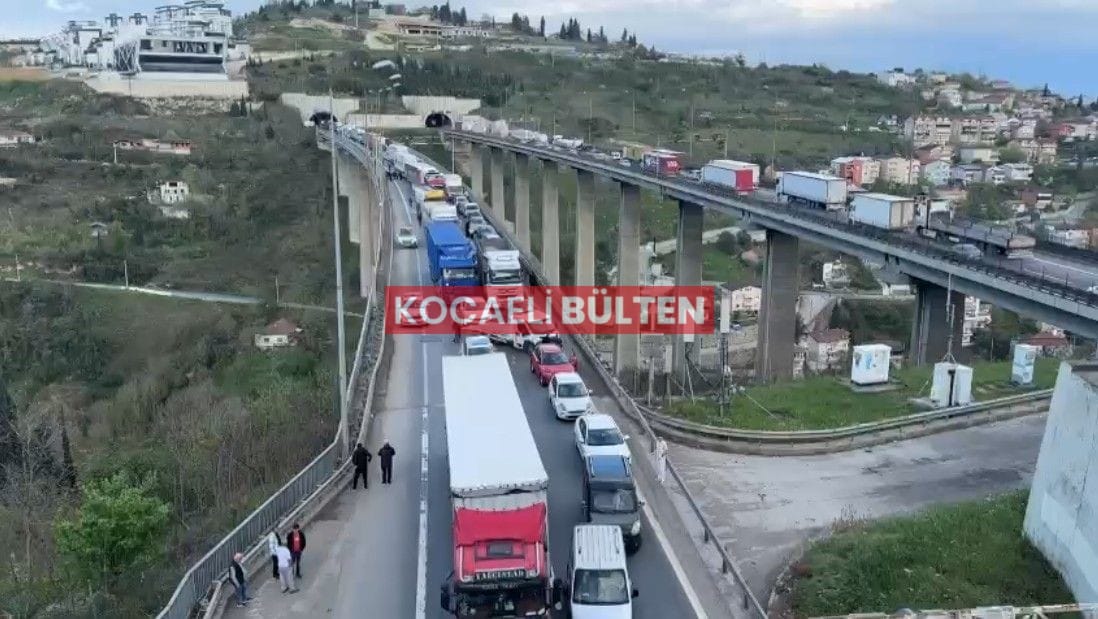 TEM Otoyolu’nda Zincirleme Kaza: 8 Araç Çarpıştı, 8 Yaralı