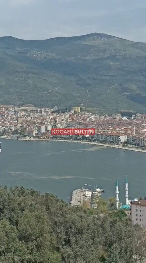 Marmara’da Kâbus Geri Döndü: Müsilaj Yeniden Görüldü