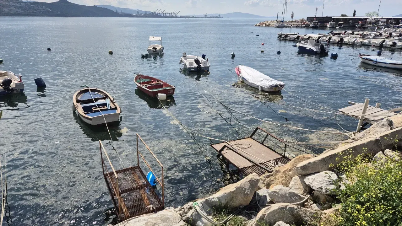 Marmara’da Kâbus Geri Döndü: Müsilaj Yeniden Görüldü
