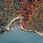 bilecik-orman-2361025.jpg