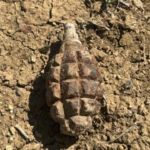 el-bombasi-iha-2360869.jpg
