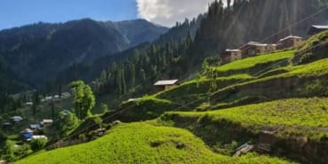 istockphoto-1368330692-612x612