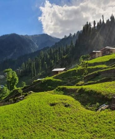 istockphoto-1368330692-612x612