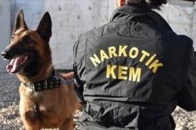 kocaeli narkotik