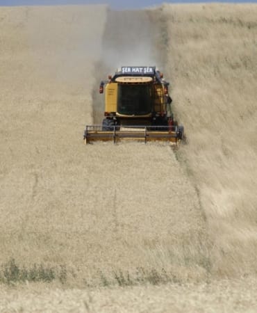agri-tarla-a-2262970.jpg
