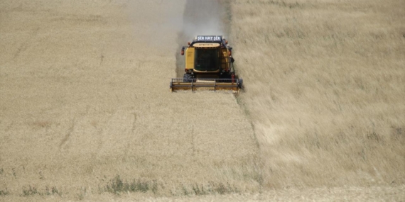 agri-tarla-a-2262970.jpg