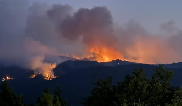 eskisehir-orman-yanginiaa-2383210.jpg