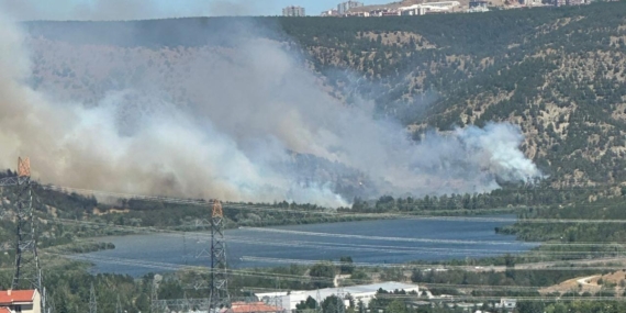 eymir-2384099.jpg