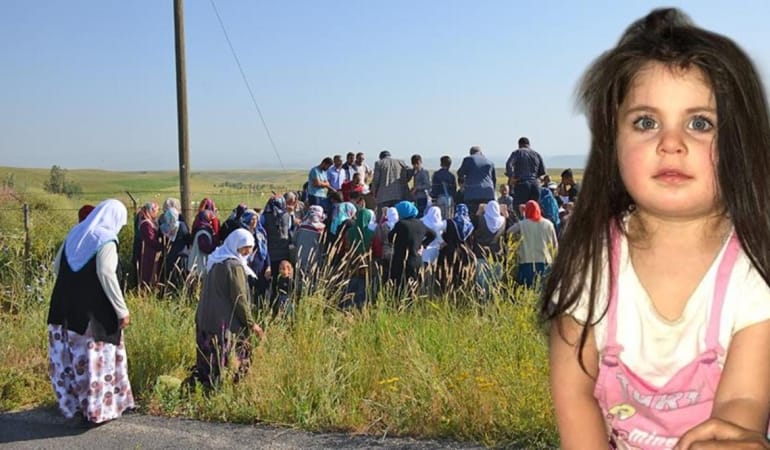 minik-leyla-2383652.jpg