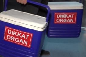organ-nakli-1946247.jpg