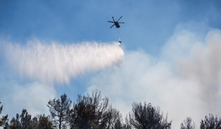 orman-yangini-mudahale-aa-2377345.jpg