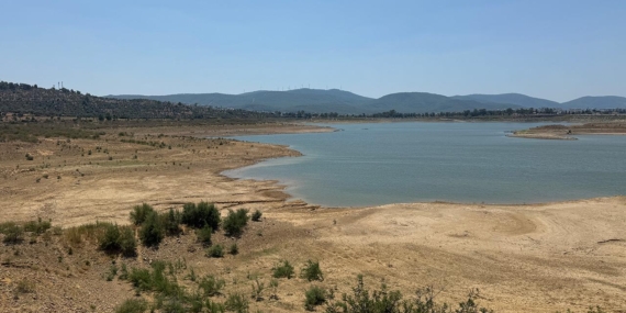 bodrum-kuraklik-iha-2386058.jpg
