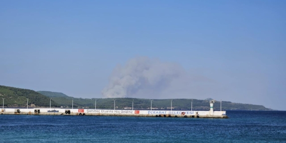 canakkale-yanginaa-2390872.jpg
