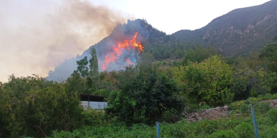 hatay-yangin-aa-2388814.jpg