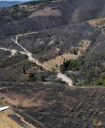 kocaeli-karamursel-orman-yangini-aa-2388955.jpg