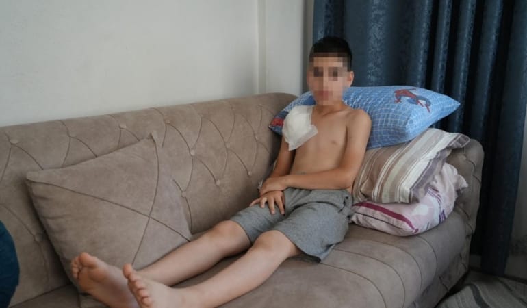 kopek-iha-2390485.jpg