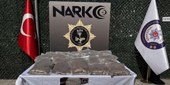 narko-a-2391815.jpg