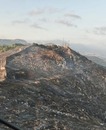 orman-yangini-dha-2392911.jpg