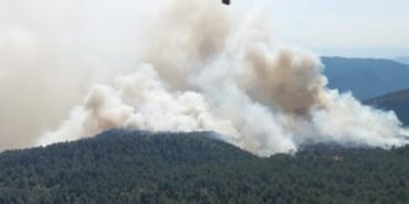 sinop-orman-yangini-aa-2387424.jpg