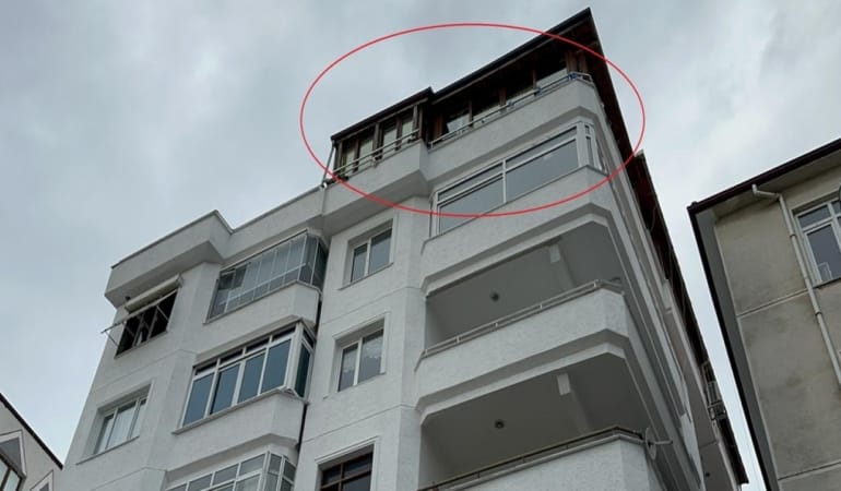 gullu-2402723.jpg