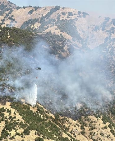 orman-yangini-aa-2395523.jpg