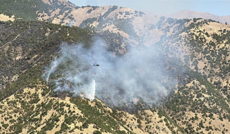 orman-yangini-aa-2395523.jpg