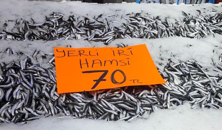hamsi-aa-2409496.jpg